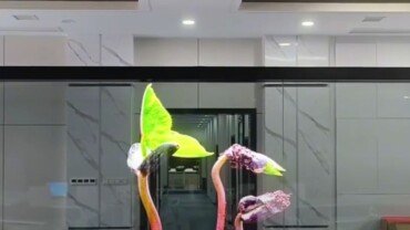 Transparent LED Screens 1